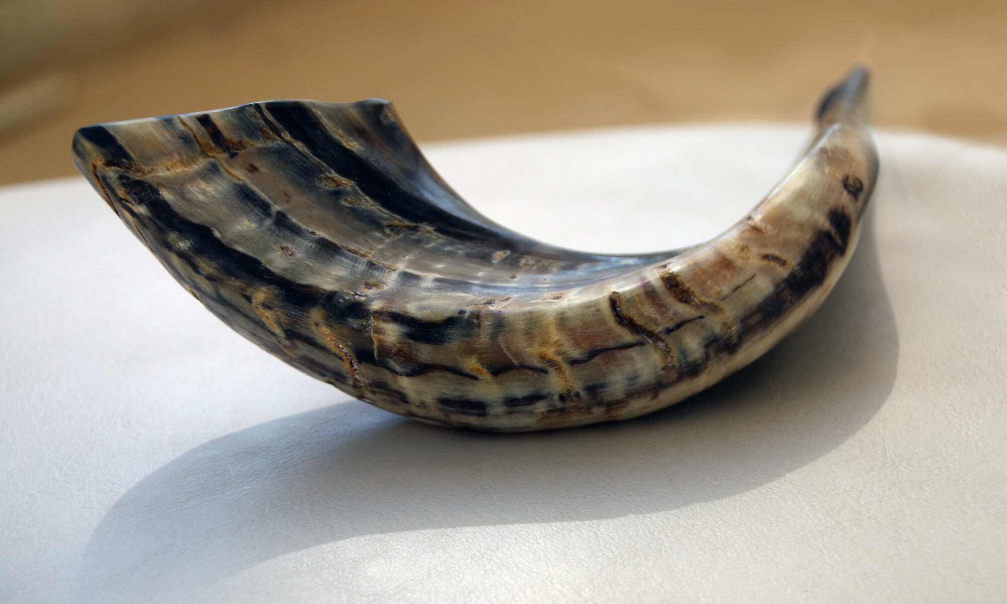 The Shofar