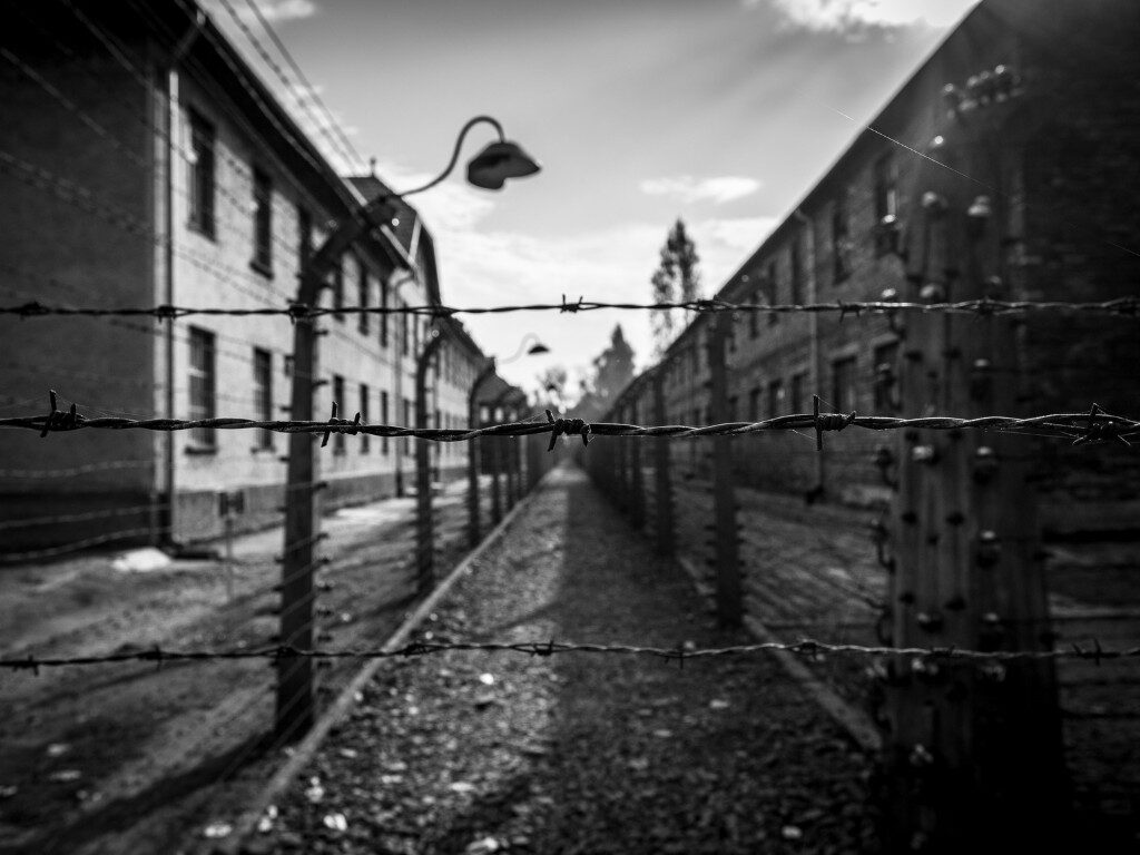 Why the Holocaust?
