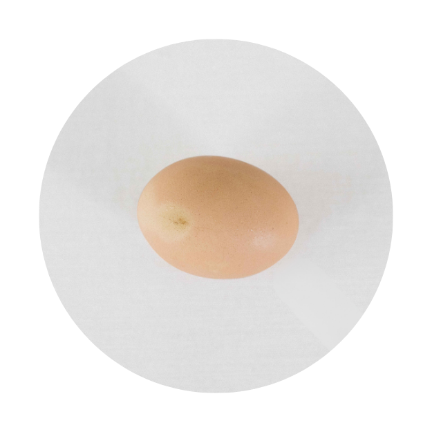 Egg