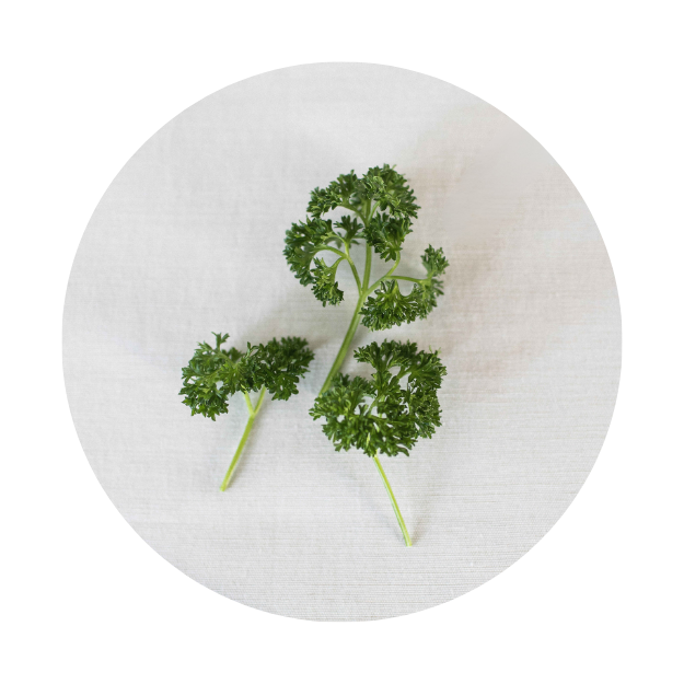 parsley