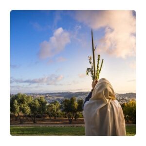 sukkot2 1080w