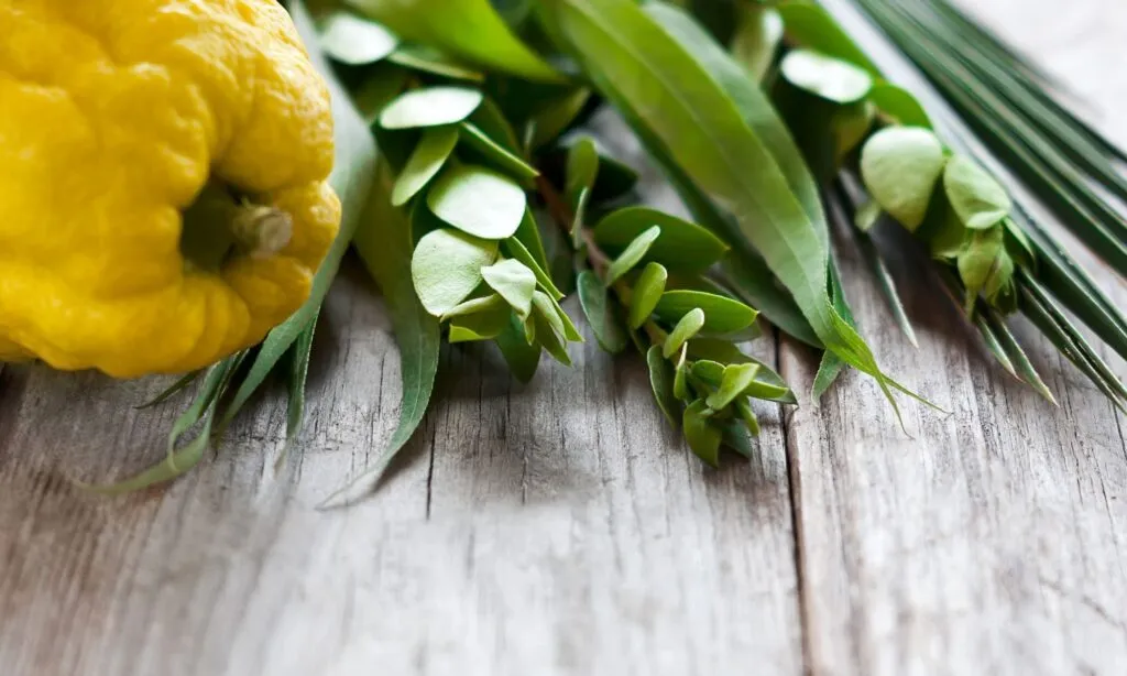 Frailty of Life on Earth