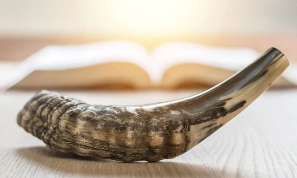 Yom Kippur FAQ