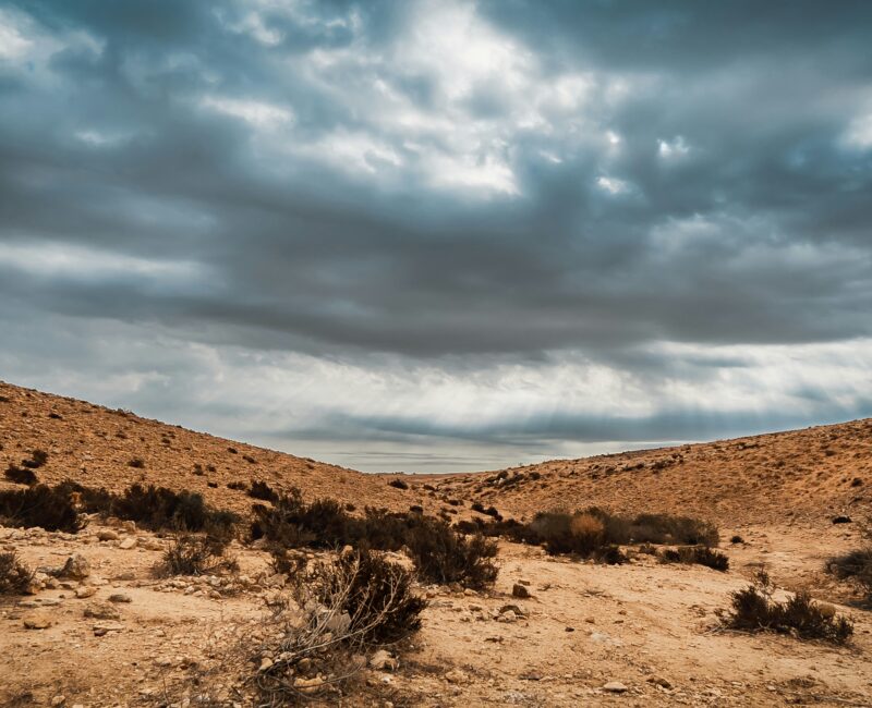 The Spiritual Origins of Antisemitism